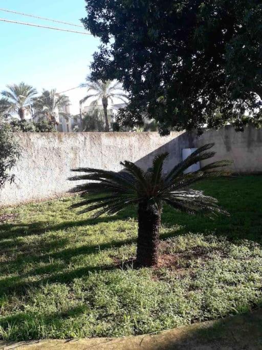 Villa Singola A 1300 Mt Dal Mare Mazara del Vallo Exterior foto